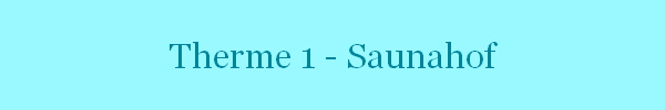 Therme 1 - Saunahof